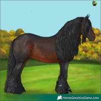 Horse Color:Brown 
