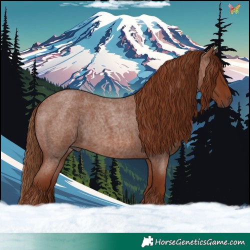 Horse Color:Red Roan 