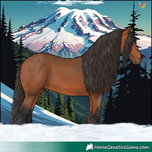 Horse Color:Bay Rabicano 