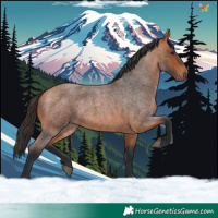 Horse Color:Bay Roan