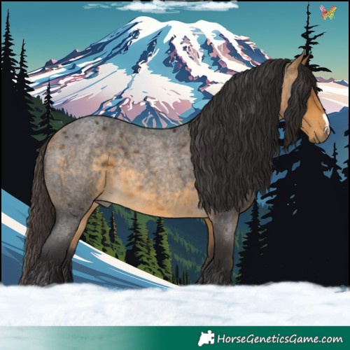 Horse Color:Buckskin Roan 