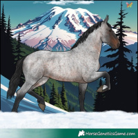 Horse Color:Brown Roan 