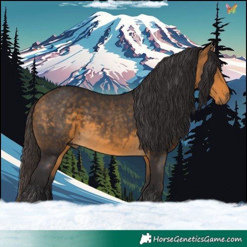 Horse Color:Buckskin Rabicano 