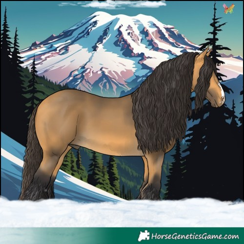 Horse Color:Buckskin 