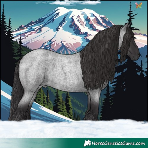 Horse Color:Smoky Blue Roan Rabicano 