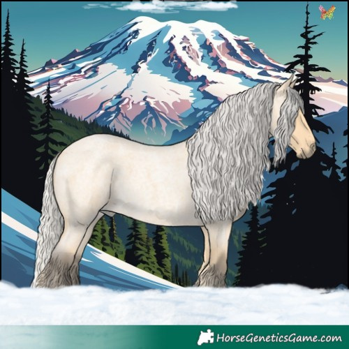 Horse Color:Silver Buckskin Roan 
