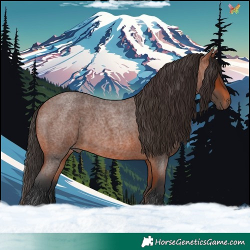 Horse Color:Bay Roan 