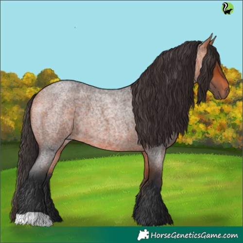 Horse Color:Bay Roan