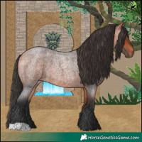 Horse Color:Bay Roan 