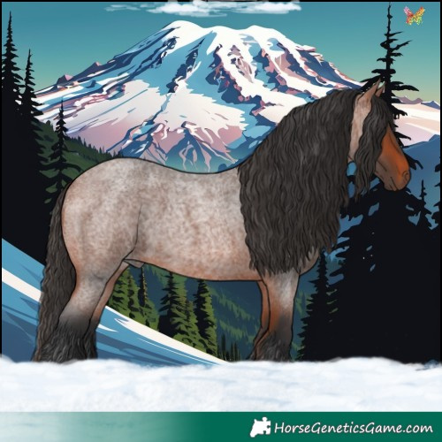 Horse Color:Bay Roan 