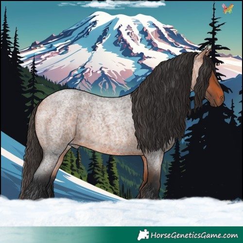 Horse Color:Bay Roan 