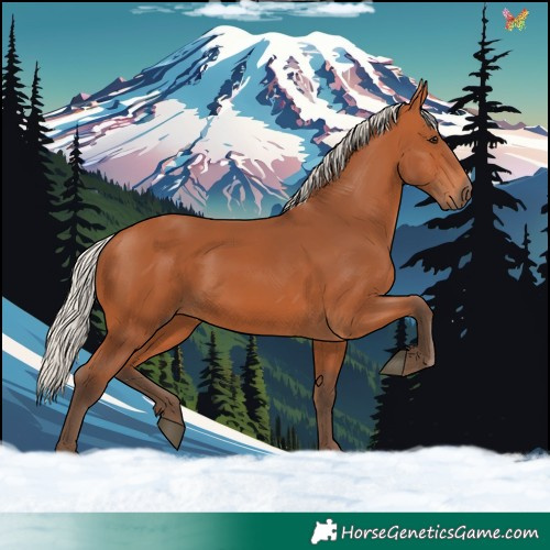 Horse Color:Silver Bay 