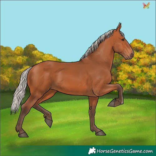 Horse Color:Silver Bay