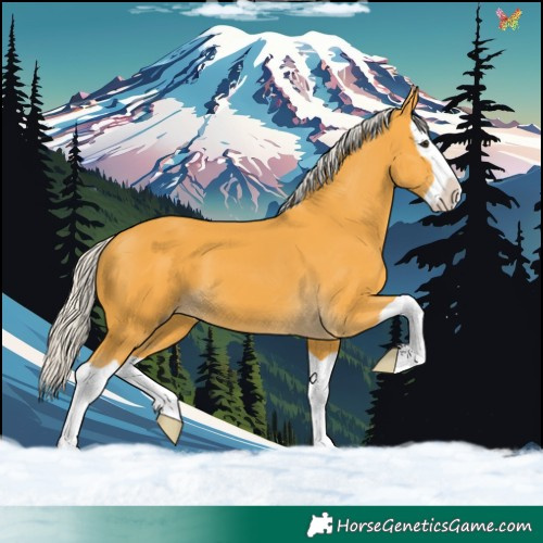 Horse Color:Silver Buckskin Splash 
