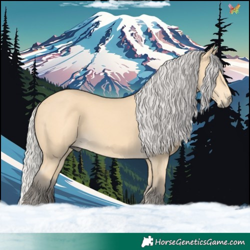 Horse Color:Silver Buckskin 