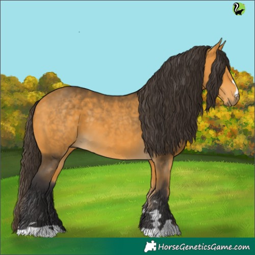 Horse Color:Buckskin 