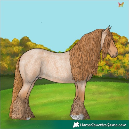 Horse Color:Red Roan 