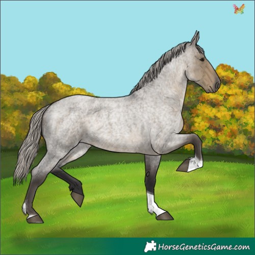 Horse Color:Silver Smoky Grullo Roan Tobiano 