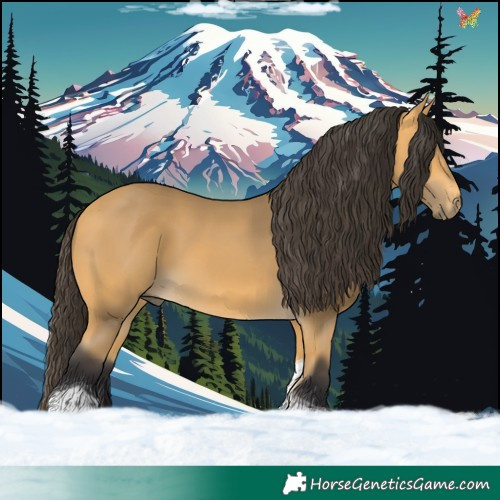 Horse Color:Buckskin Tobiano 