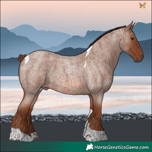 Horse Color:Red Roan Tobiano 