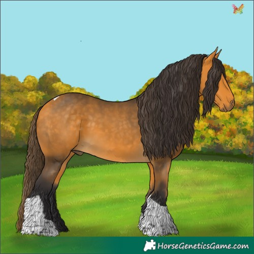 Horse Color:Buckskin Tobiano 