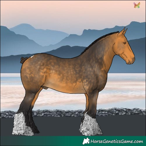 Horse Color:Buckskin Tobiano 