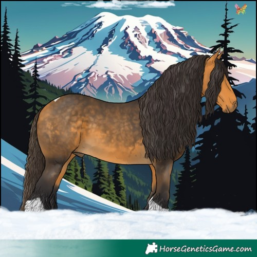 Horse Color:Buckskin Tobiano 
