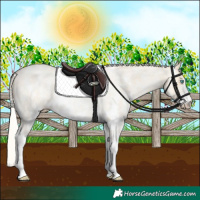 Horse Color:Silver Smoky Grullo Roan Pearl Sabino
