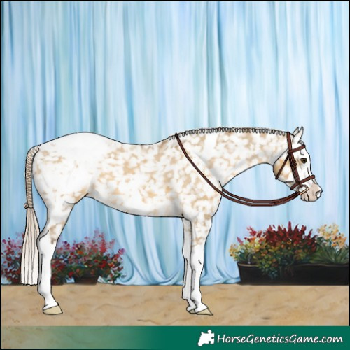 Horse Color:White Spotted Chocolate Palomino Dun Splash Snowcap 