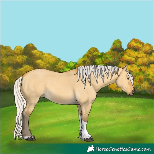 Horse Color:Silver Buckskin Dun Tobiano 