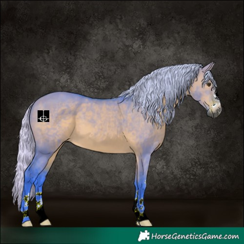 Horse Color:Gray Watercolor Silver Bay Dun 