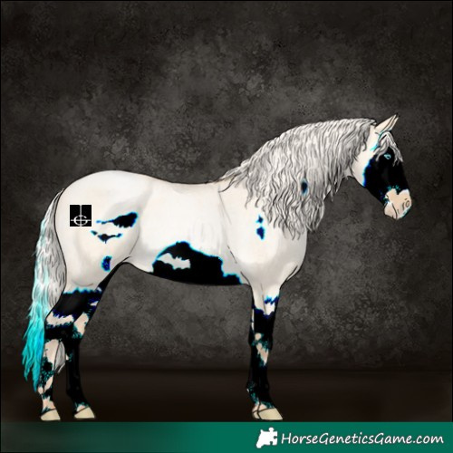 Horse Color:Silver Buckskin Roan Pearl Dun Splash Frame Rabicano 