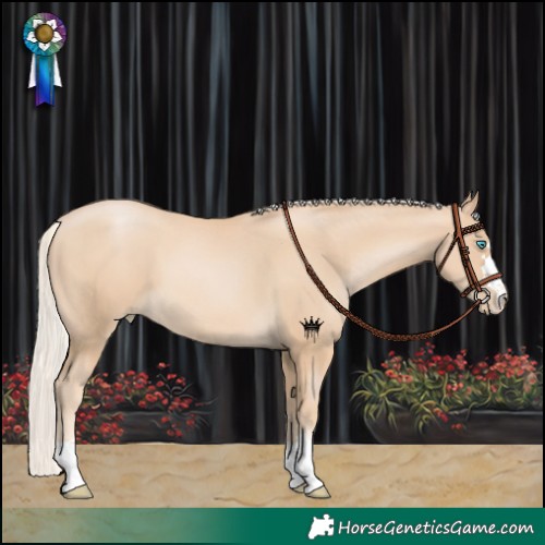 Horse Color:Chestnut Snowdrop Pearl 