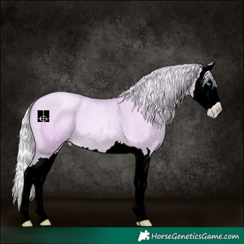 Horse Color:Watercolor Silver Buckskin Roan Pearl Dun Splash 