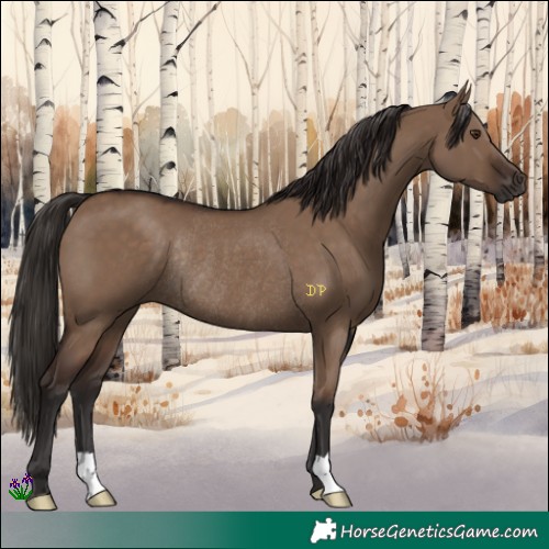 Horse Color:Liver Red Dun Rabicano 
