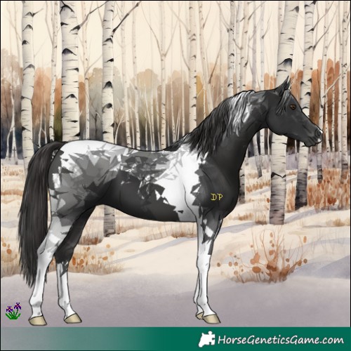 Horse Color:Liver Chestnut Tobiano 