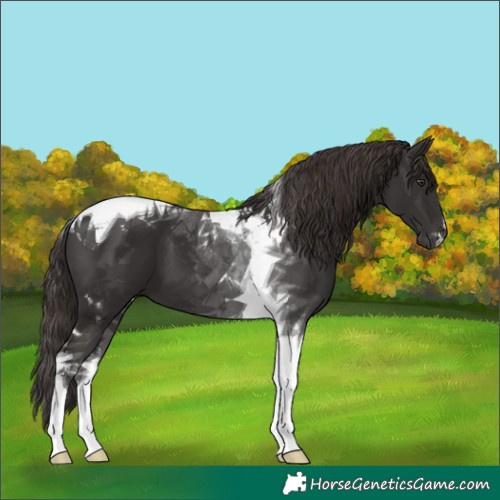 Horse Color:Liver Chestnut Tobiano 