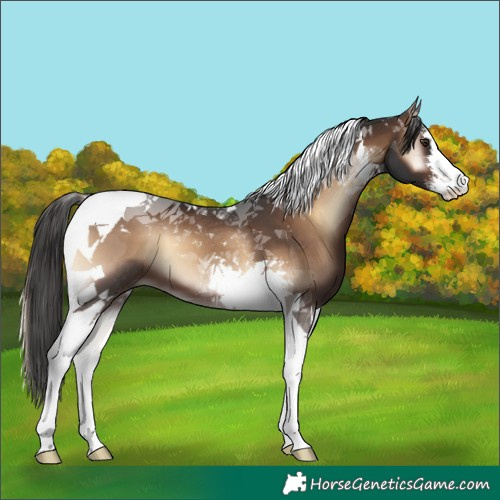 Horse Color:White Spotted Liver Red Onyx Tobiano 