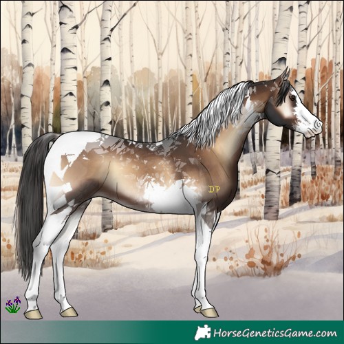 Horse Color:White Spotted Liver Red Onyx Tobiano 