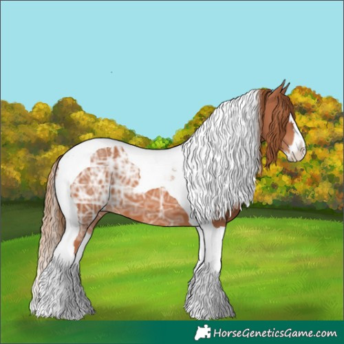 Horse Color:Chestnut Ice Splash Tobiano 