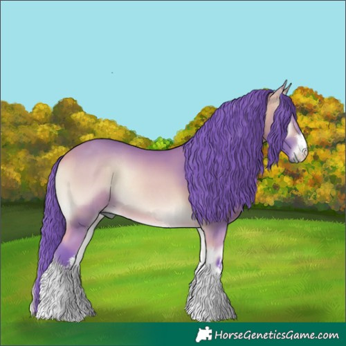 Horse Color:Watercolor White Spotted Buckskin Onyx Rabicano 