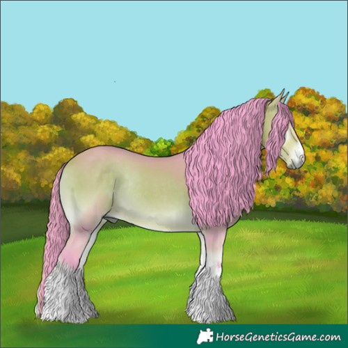 Horse Color:Watercolor White Spotted Buckskin Onyx Rabicano 
