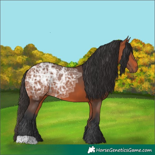 Horse Color:Bay Ice 