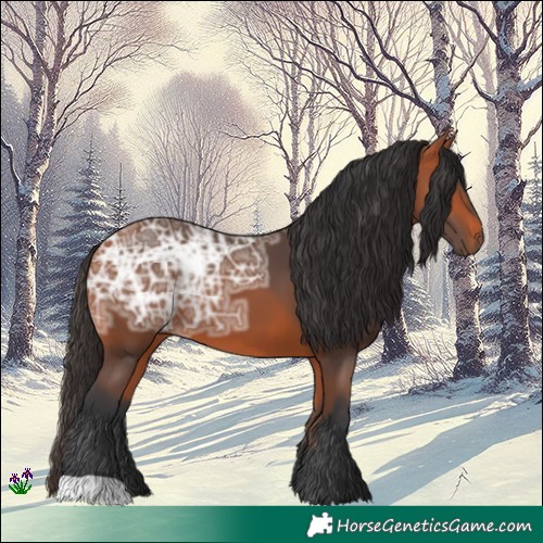 Horse Color:Bay Ice 