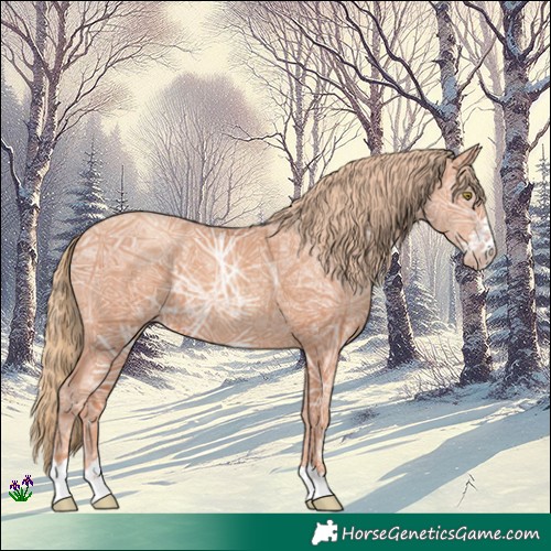 Horse Color:Gold Champagne Ice 