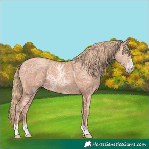 Horse Color:Gold Champagne Ice 
