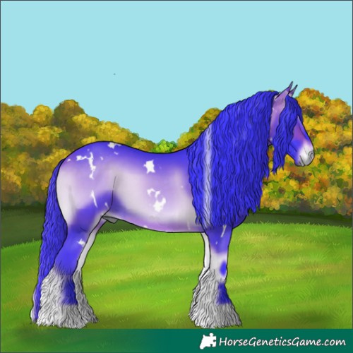 Horse Color:Watercolor White Spotted Buckskin Onyx 