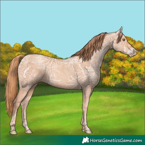 Horse Color:Gold Champagne Ice 
