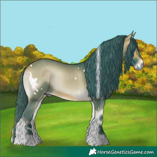 Horse Color:Watercolor White Spotted Buckskin Onyx 