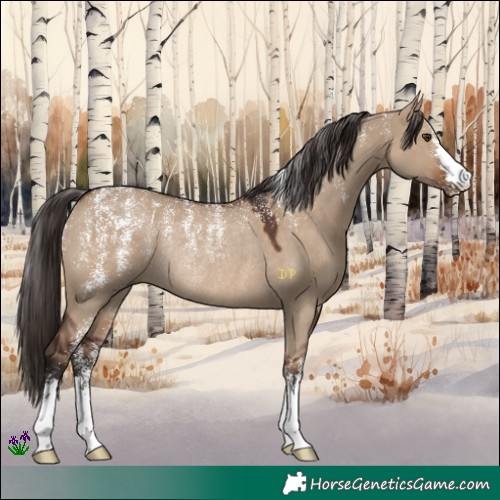 Horse Color:Powder White Liver Red Dun Rabicano 